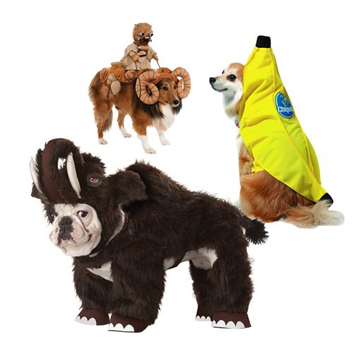 Top 10 Dog Costumes