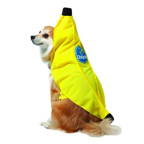 Officially licensed Chiquita Banana Costume