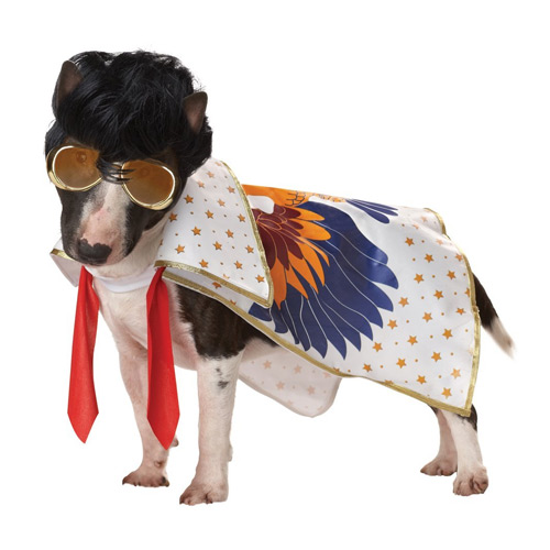 Pup-A-Razzi Rock N Roll King Dog Costume