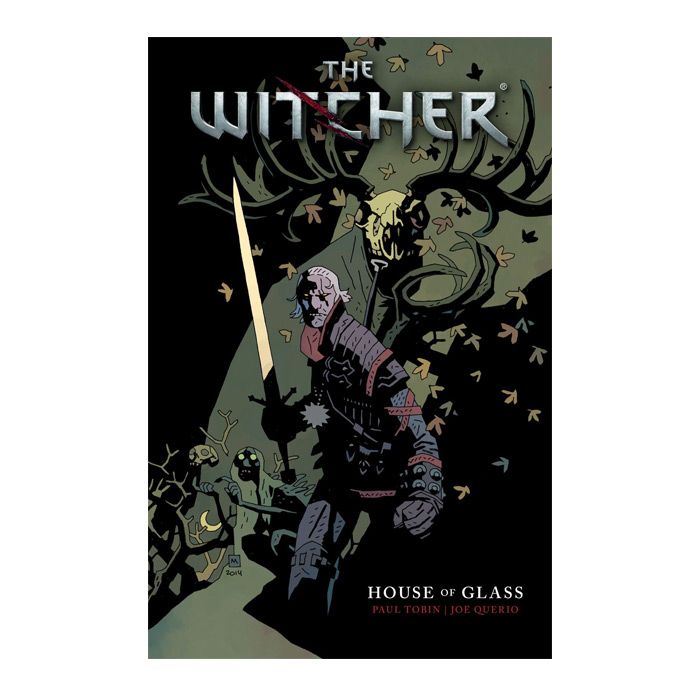 The Witcher Volume 1