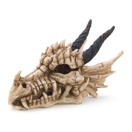 Magical Dragon Skull Treasure Box / Trinket