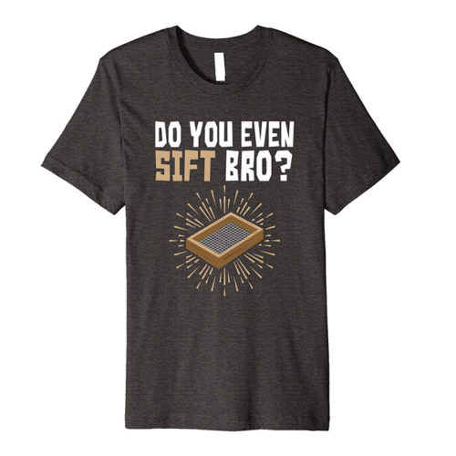 Do You Even Sift Bro Archaeology T-Shirt Gifts
