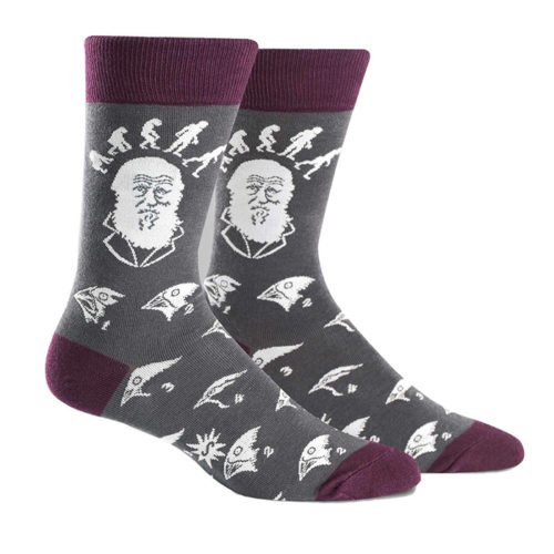 Charles Darwin Evolution Crew Socks