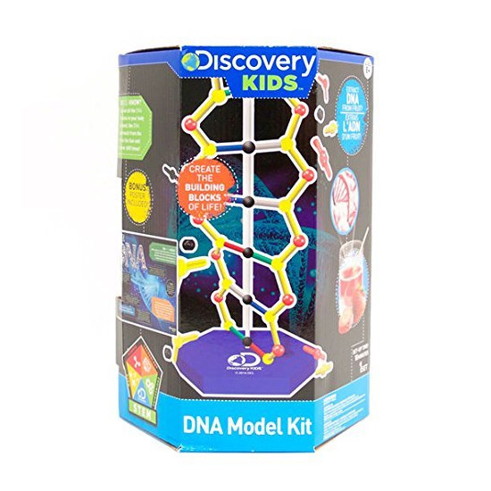 Discovery Kids DNA Model Kit