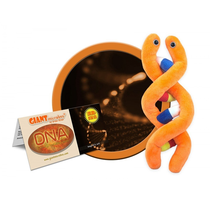 DNA (Deoxyribonucleic Acid) Educational Plush by GIANTMicrobes