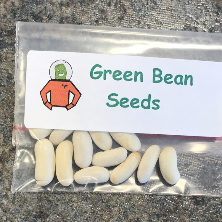 Beans on the Moon Kit Seeds
