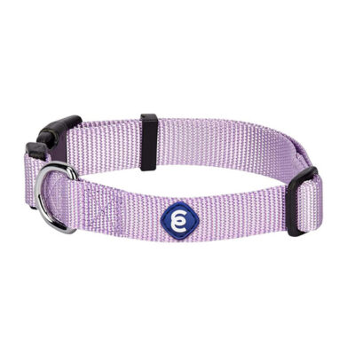 Classic Dog Collars by Blueberry Pet Essentials